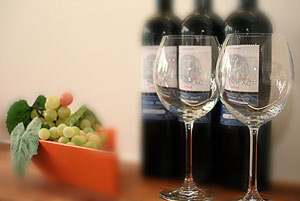 K&uuml;chenstudio in Erlangen: K&uuml;che Modell Sigma